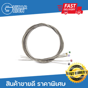 สายเบส 5 สาย วัสดุจากอเมริกา Made in USA