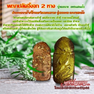 พญาปลัดจิ้งจก 2 หาง