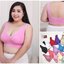 Sport Bra size M L XL 2XL 3XL