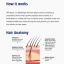 HFR - Hair Follicle Regenerator