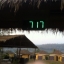 นาฬิกาดิจิตอลLED 12นิ้ว 4หลัก