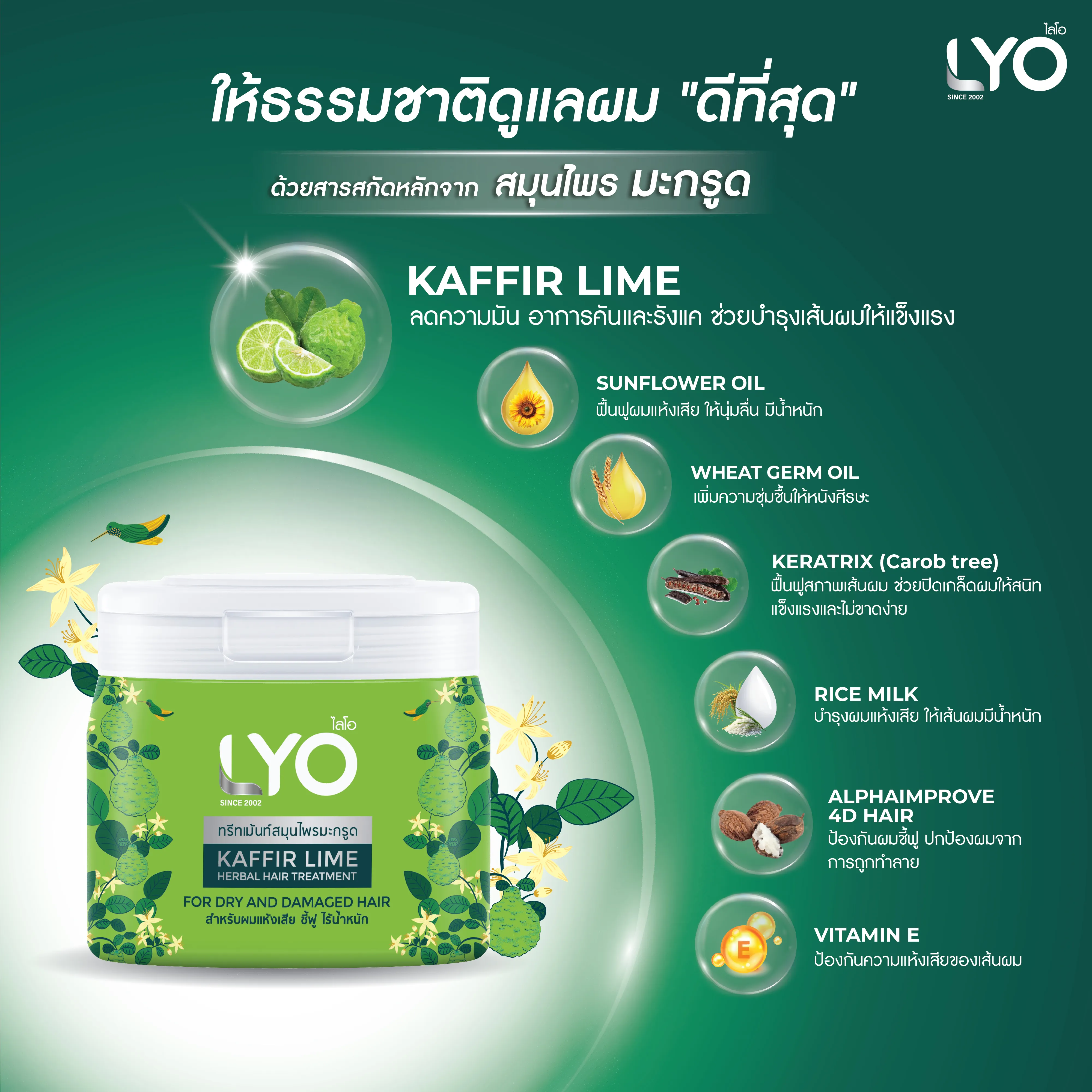 ไลโอ ทรีทเม้นท์สมุนไพรมะกรูด LYO KAFFIR LIME HERBAL HAIR TREATMENT