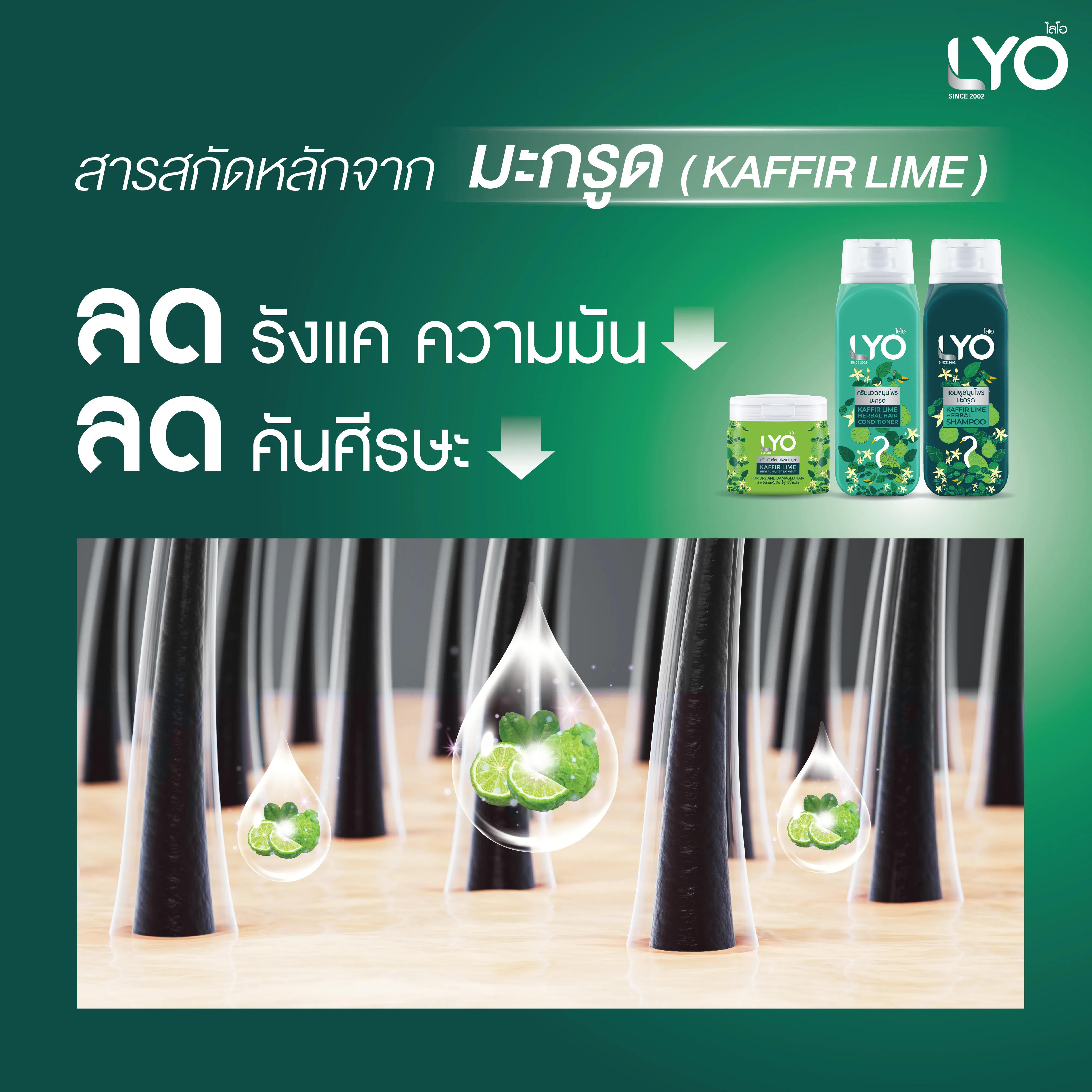 ไลโอ ทรีทเม้นท์สมุนไพรมะกรูด LYO KAFFIR LIME HERBAL HAIR TREATMENT