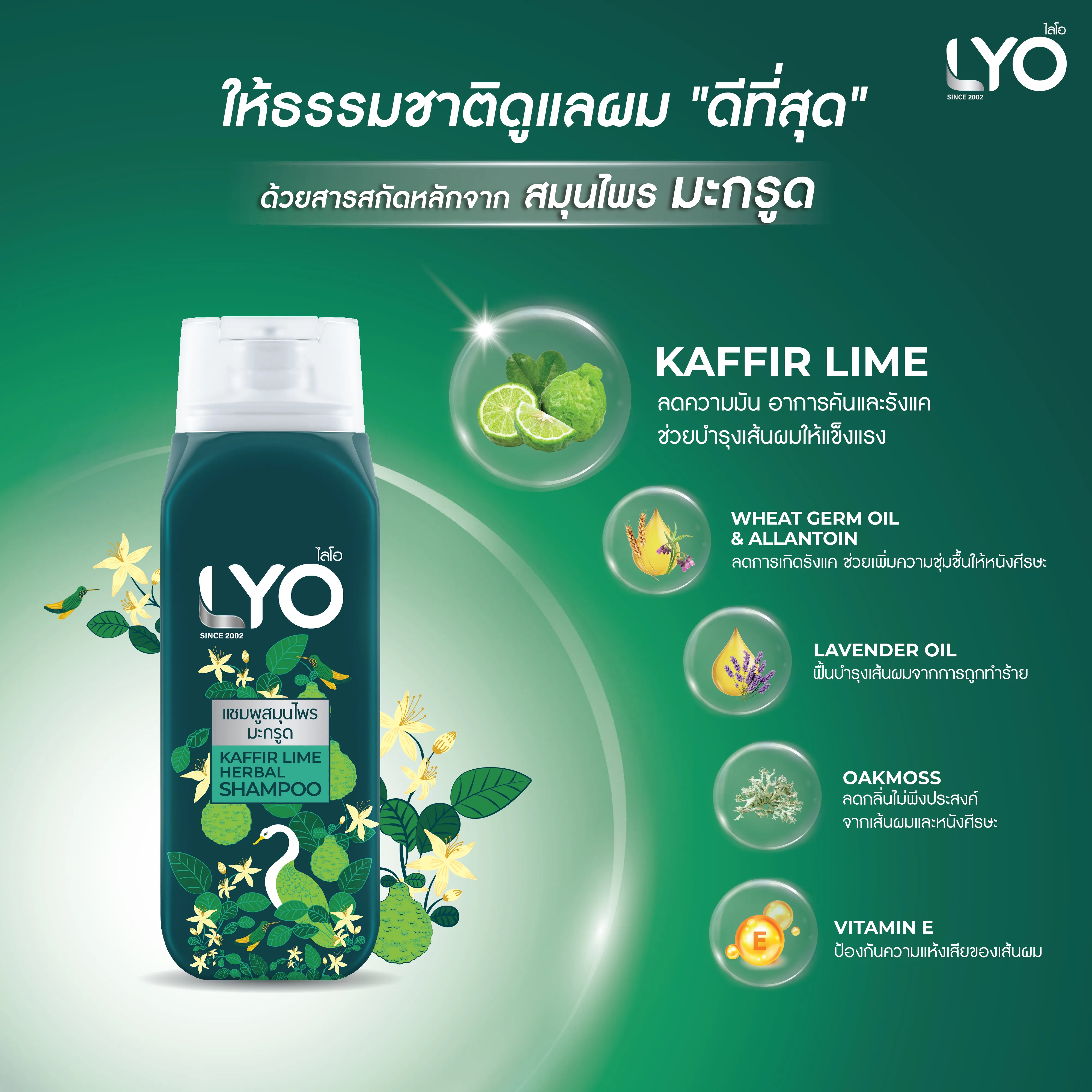 ไลโอ ทรีทเม้นท์สมุนไพรมะกรูด LYO KAFFIR LIME HERBAL HAIR TREATMENT